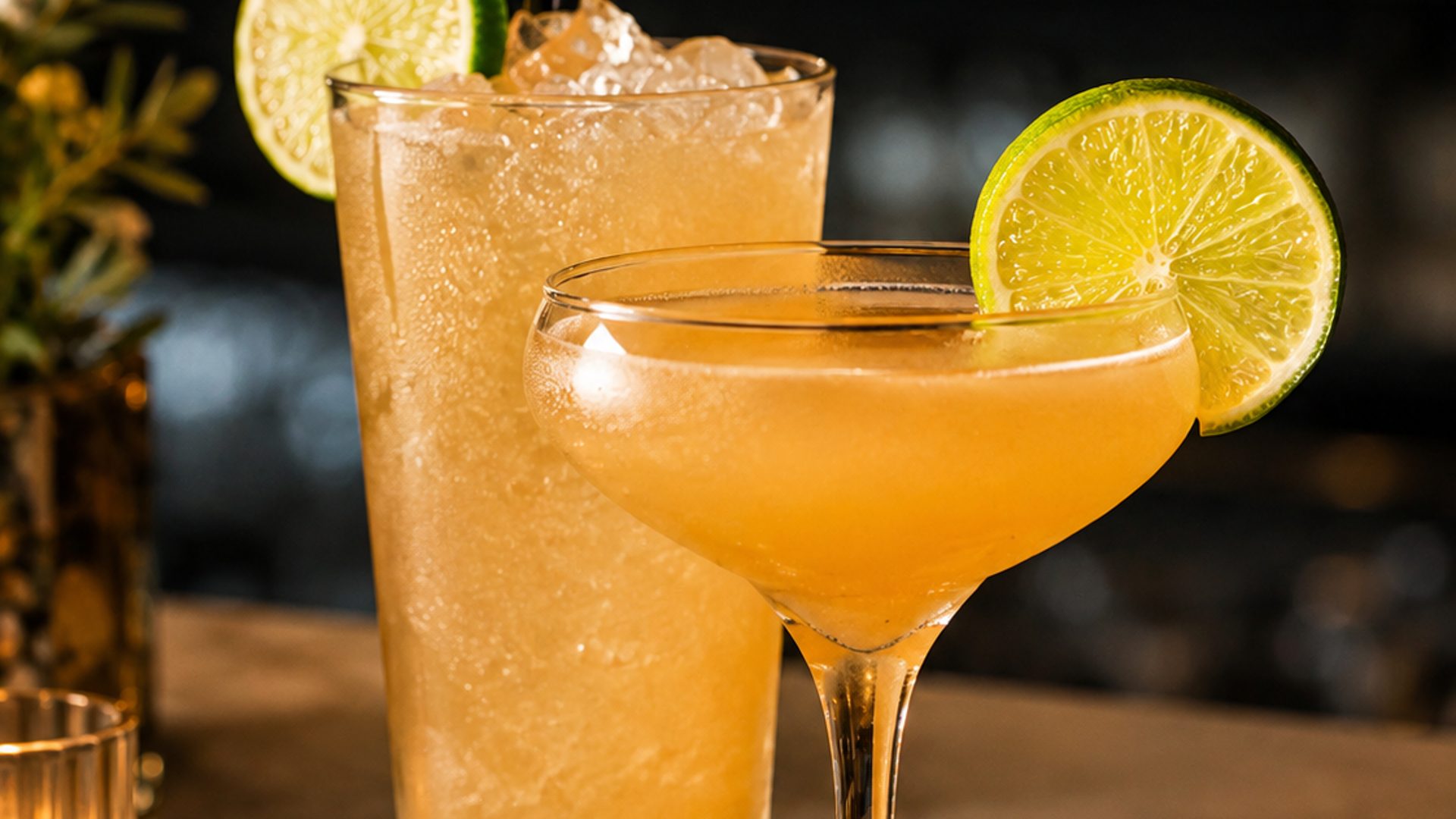 Bevande: cocktails, wine, and beer